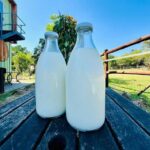 Milk - 1L